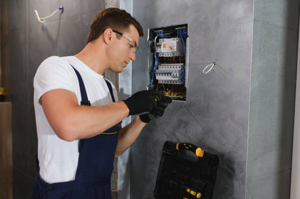 Best Home Electrical Repair  in Traer, IA