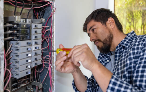 Best Electric Panel Repair  in Traer, IA